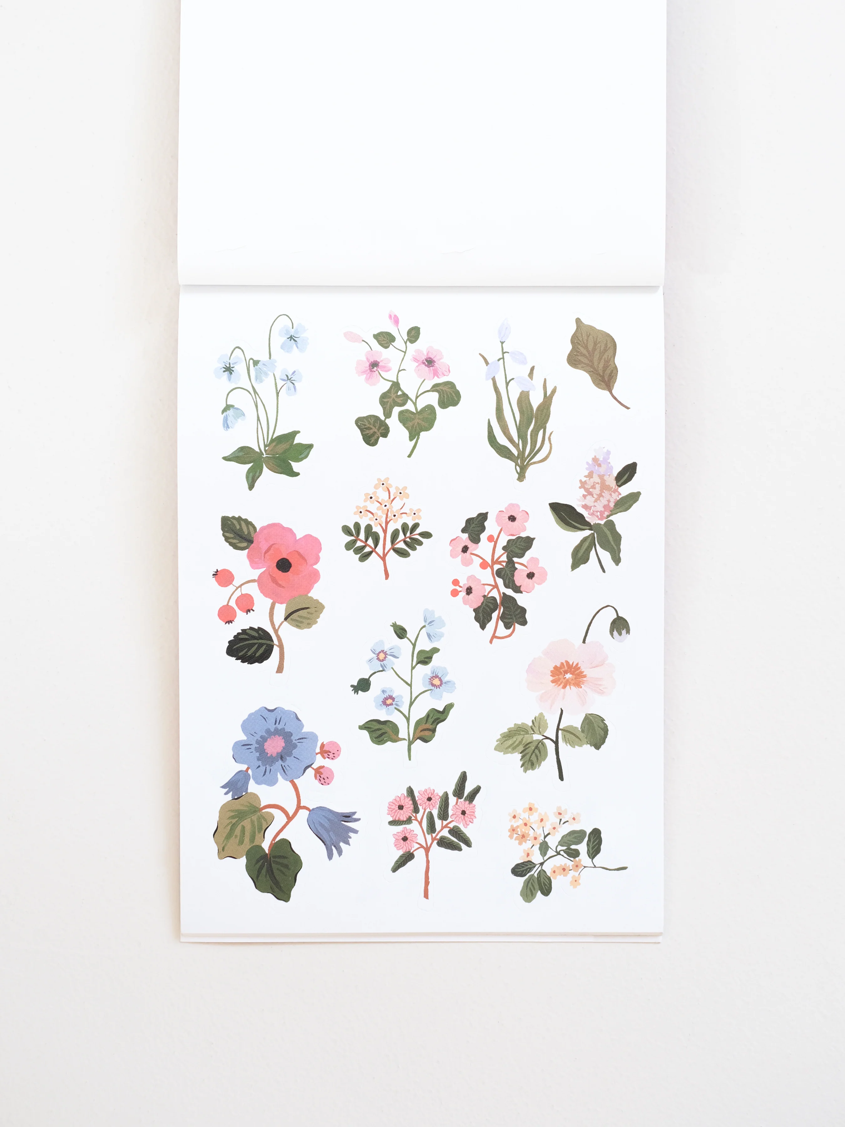 2024 Sticker Book - Image 10