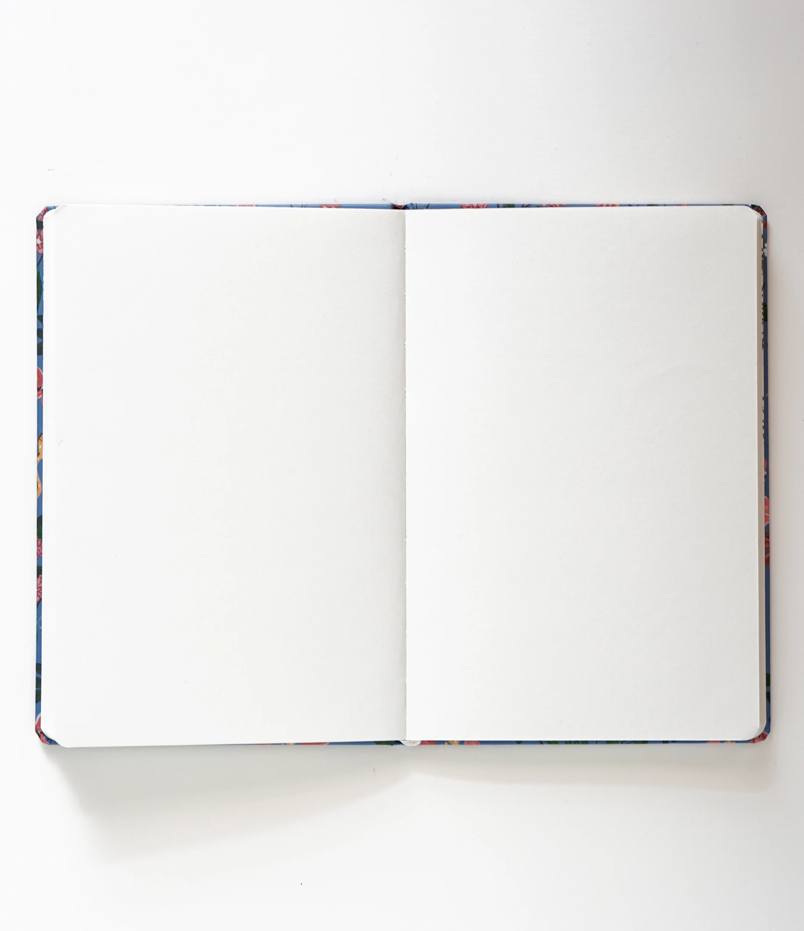 Sketchbook | Field Cat - Image 5