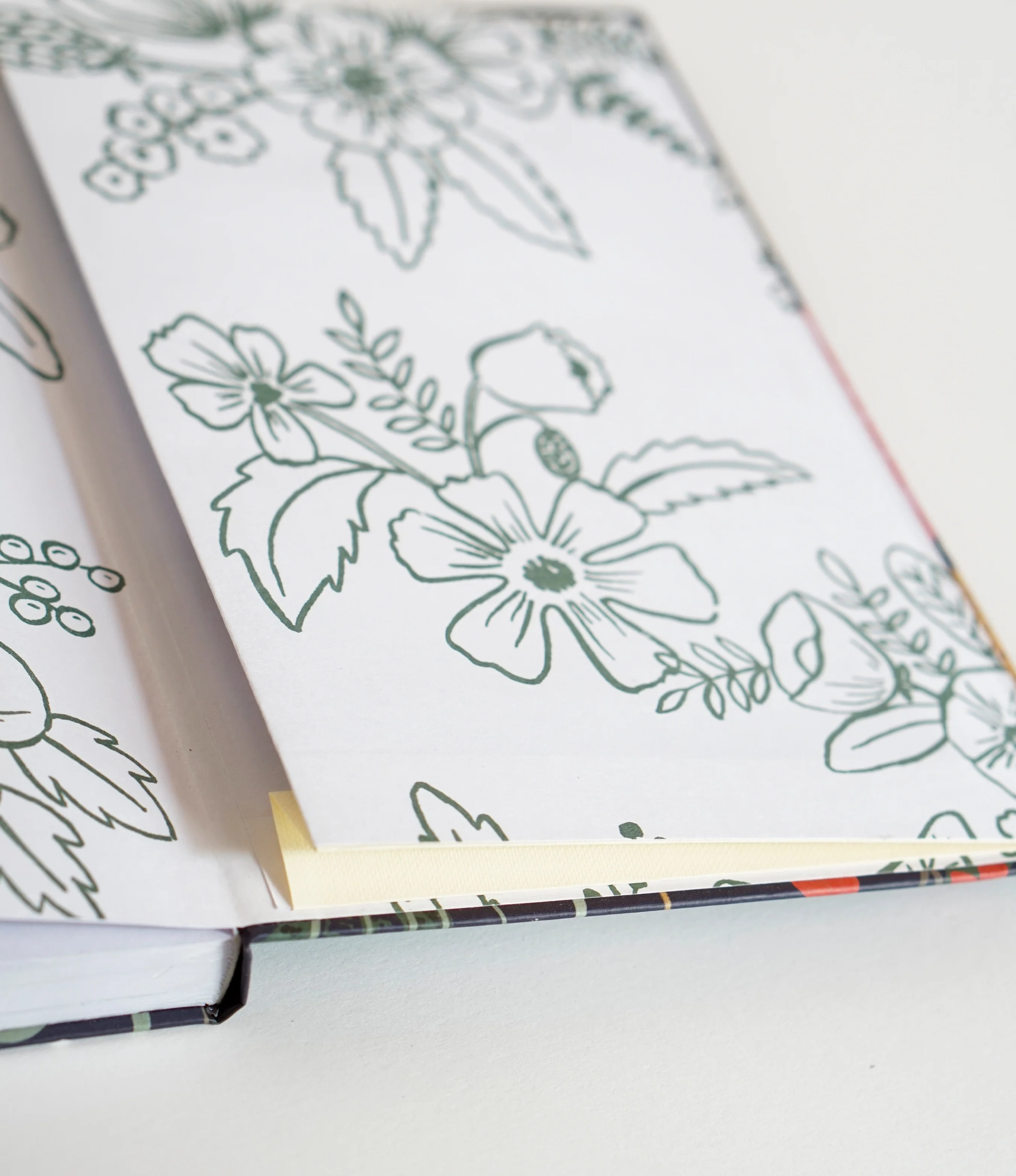 Sketchbook | Field Cat - Image 6