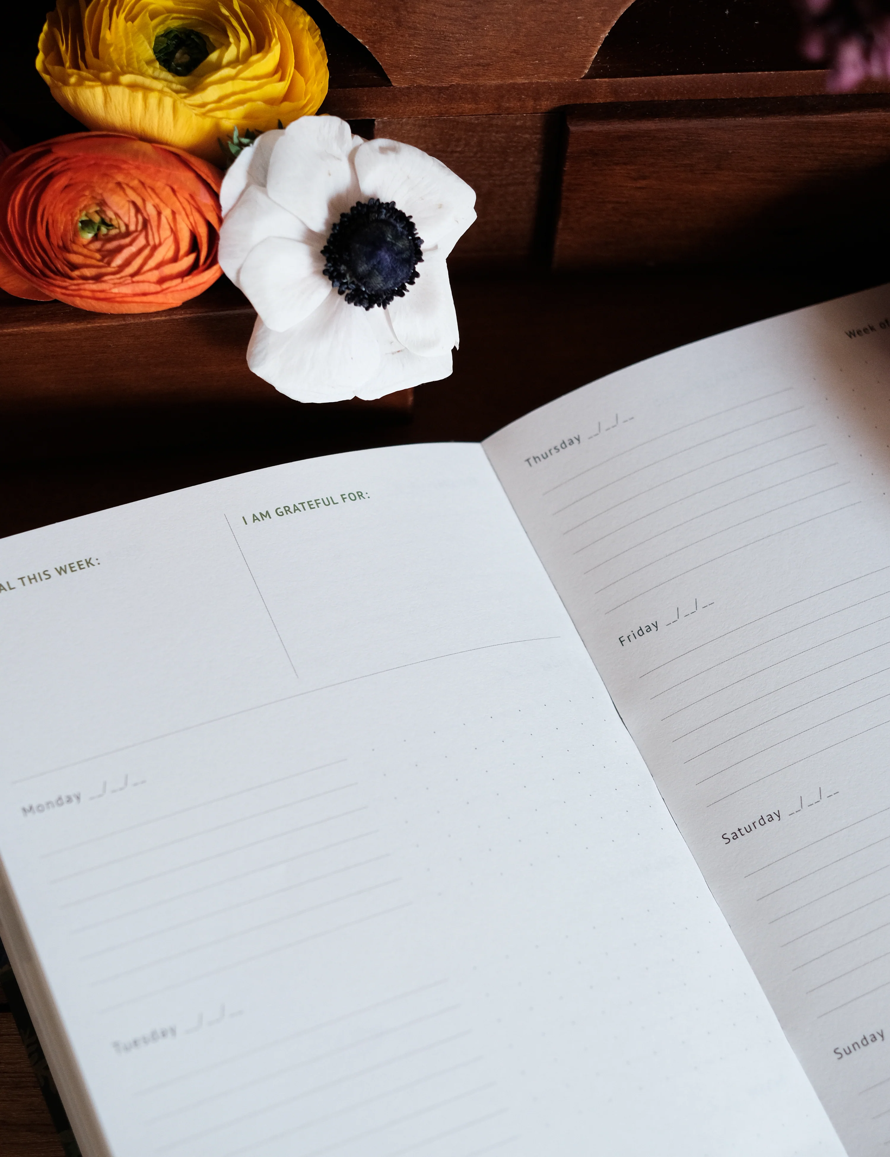 Undated Yearly Planner | Midnight Garden - Image 5